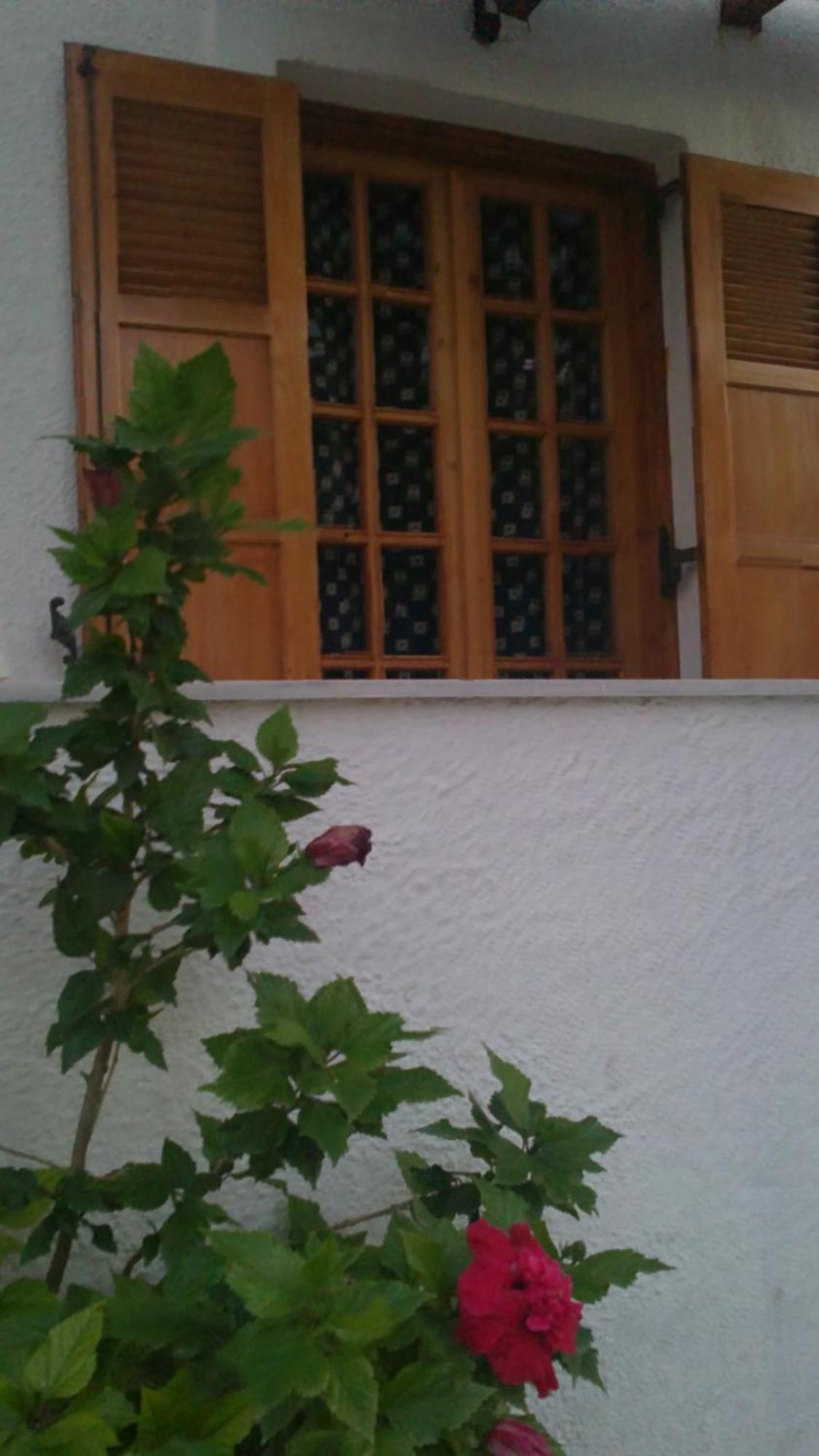 Pantazis Studios Aegina Eksteriør billede